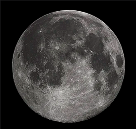 Mooncat Blog